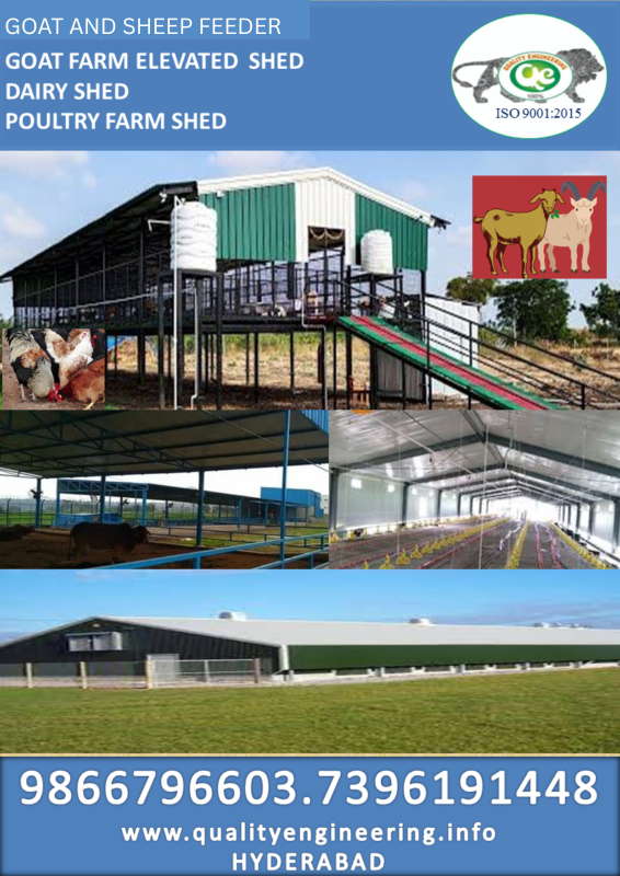 GOAT AND SHEEP FEEDER